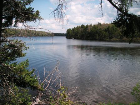 Grout Pond